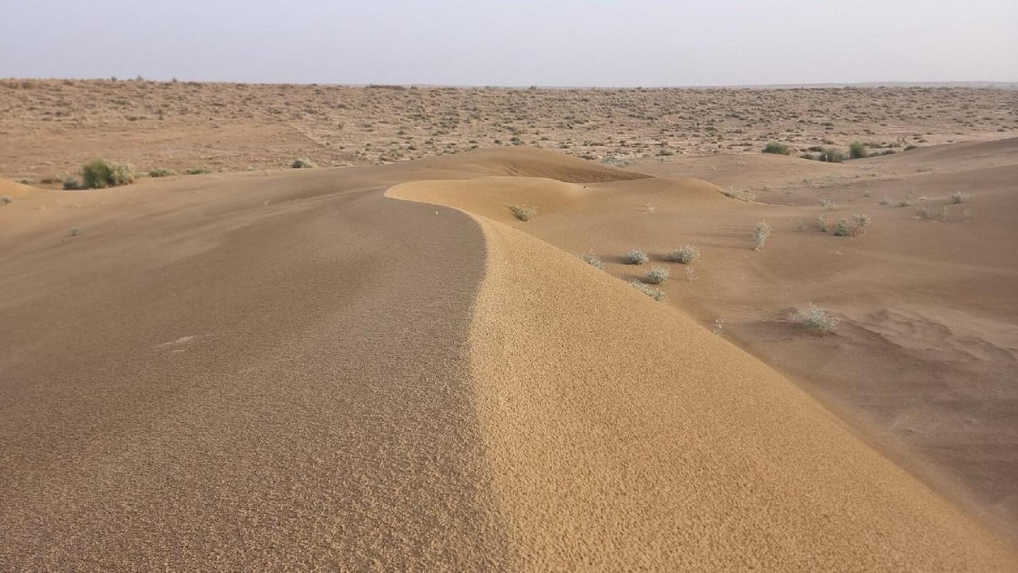 Hotel The Surya Jaisalmer Ngoại thất bức ảnh