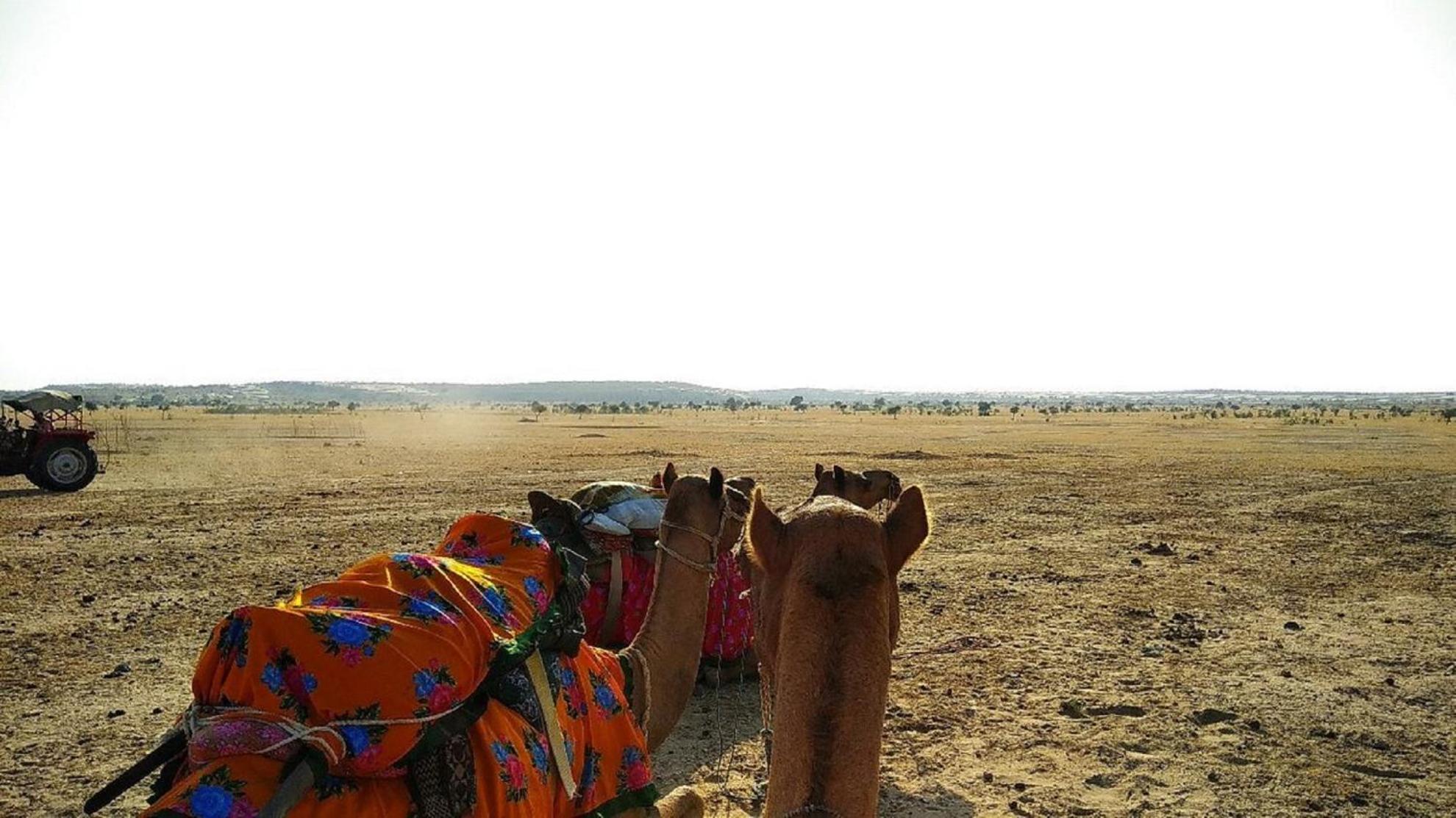 Hotel The Surya Jaisalmer Ngoại thất bức ảnh